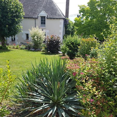 Les 7 Tilleuls - Chambres D'Hotes Mesland Exterior foto
